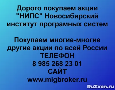 Покупка акций «НИПС Новосибирский институт программных систе фото