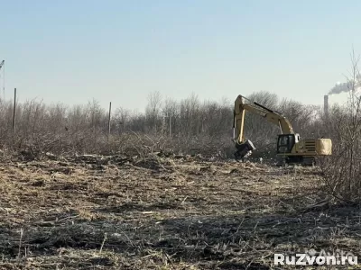 Гусеничный мульчер, расчистка от деревьев фото 1