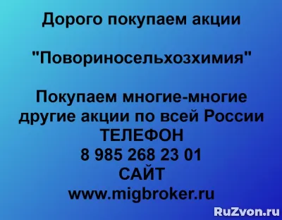 Покупка акций «Повориносельхозхимия» фото