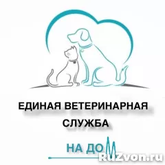 Менеджер по работе с клиентами фото