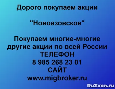 Покупка акций «Новоазовское» фото