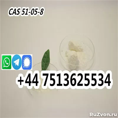 CAS 51-05-8 Procaine HCl Powder Procaine Hydrochloride фото