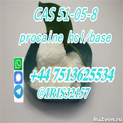 CAS 51-05-8 Procaine HCl Powder Procaine Hydrochloride фото 1